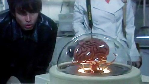 《奥特Q暗黑幻想》男子活到40岁才发现，自己只是个大脑被养在缸里