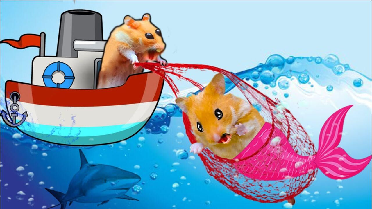 仓鼠化身海盗船长却遭遇鲨鱼袭击还有好美人鱼闯关营救