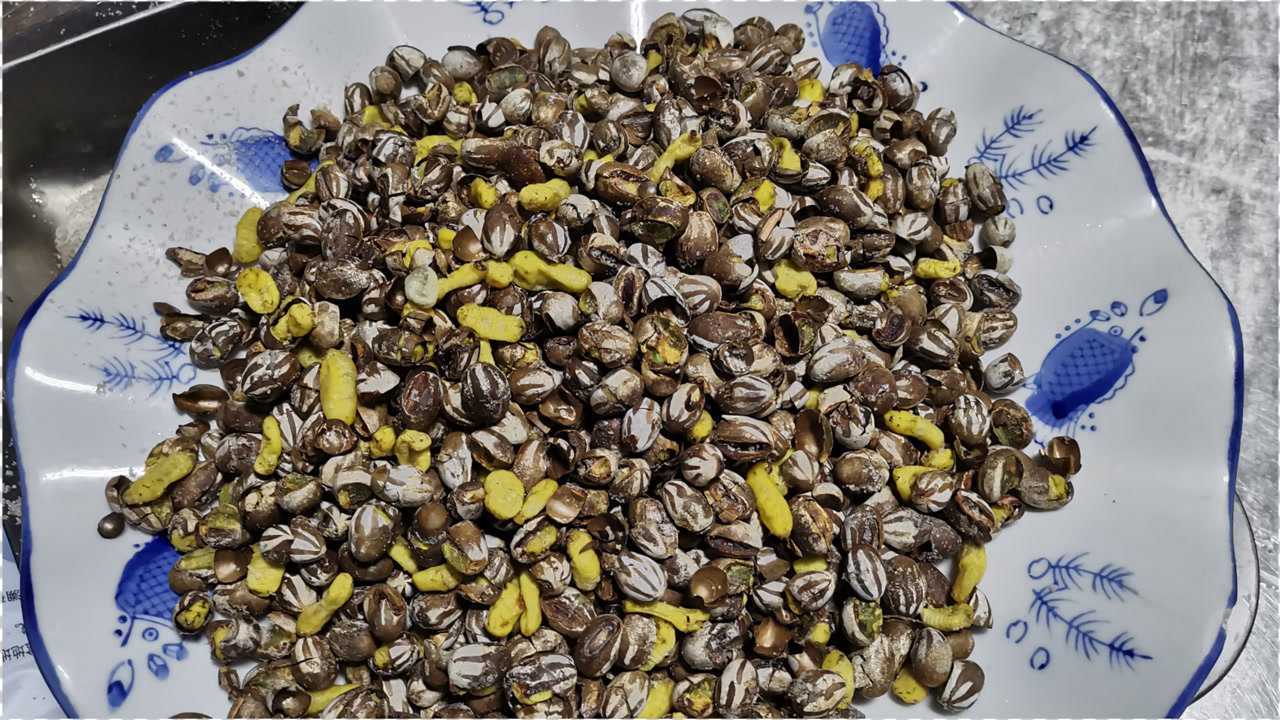 杨拉罐没想到还可以吃三哥做了一盘跟朋友们一起吃