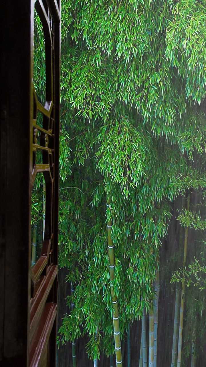 竹海惹了细雨浓墨惹了相思竹林听雨品一种静享一时闲暇得一片悠然清绝