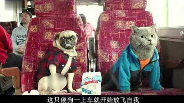 会自拍会导航的猫狗你们见过吗?