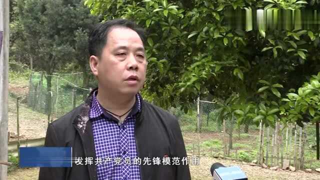 株洲云龙示范区:让党史学习教育入脑入心