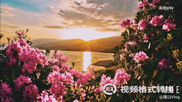 《我是你的挌桑花》KTV版