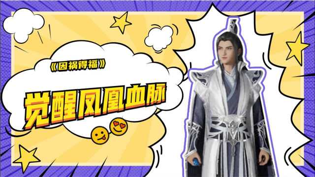 【万界独尊】林枫因祸得福觉醒凤凰血脉,成为葬神之地主人获得新的力量