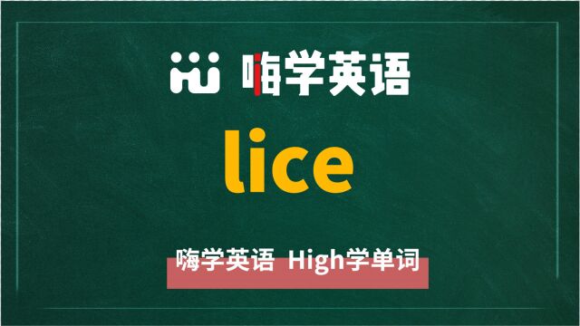 英语单词lice讲师讲解,动动脑袋想一想,它是什么意思