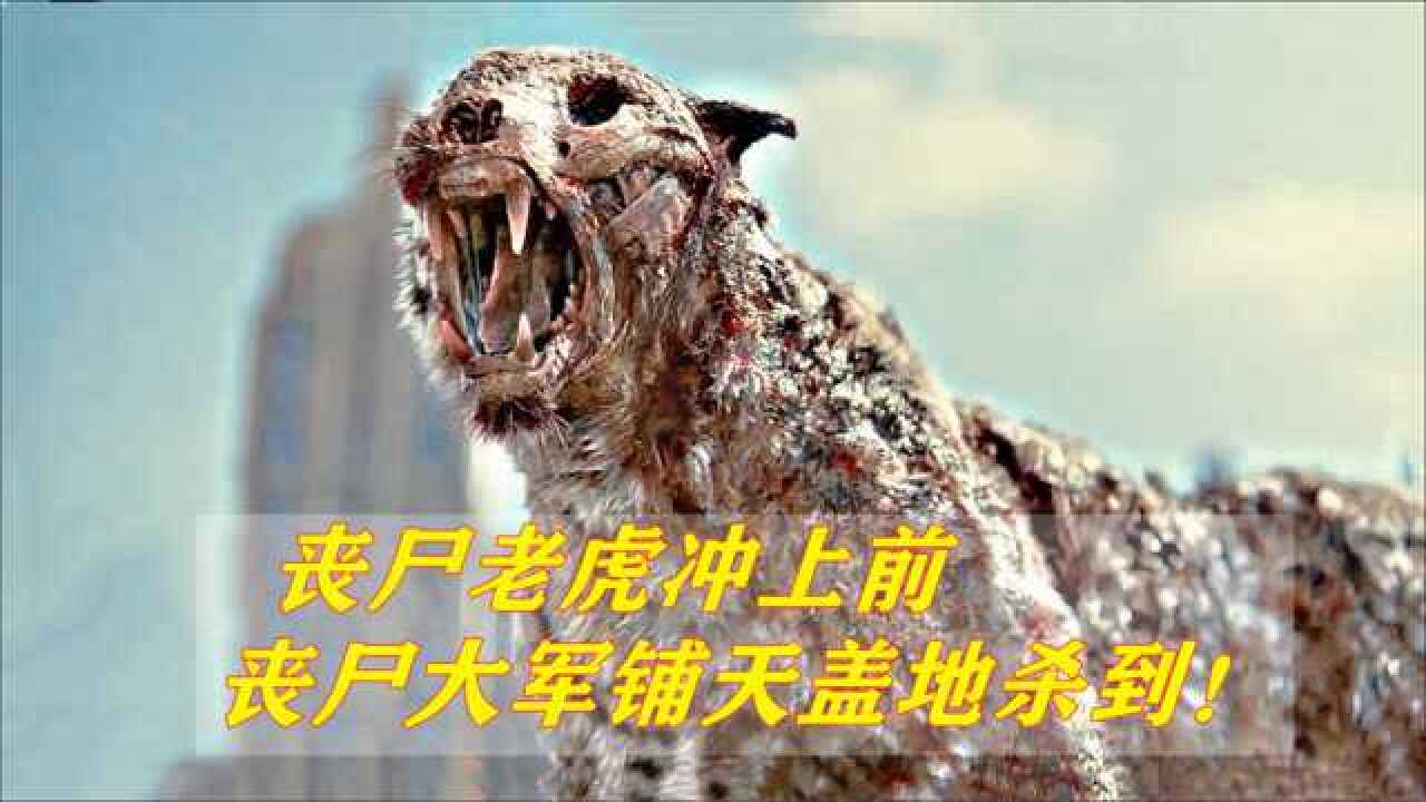 活死人军团扎克施奈德