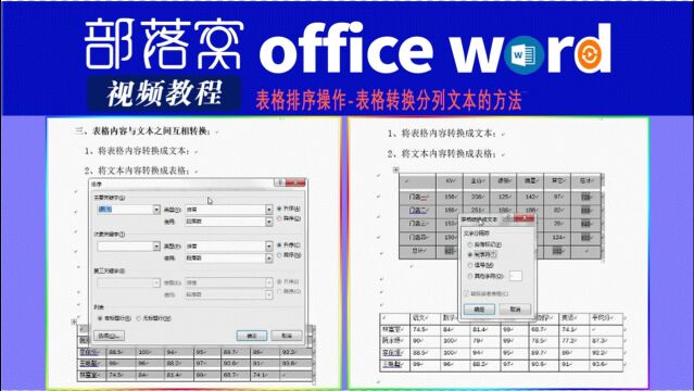 word表格排序操作视频:表格转换分列文本的方法