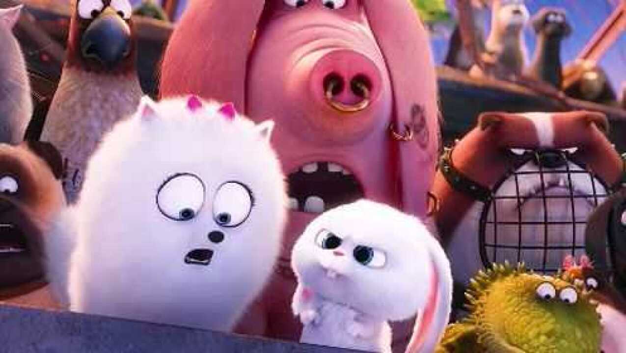 爱宠大机密一只英勇并自恋到爆的兔子