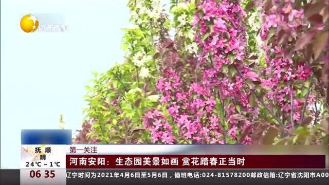 河南安阳:生态园美景如画,赏花踏春正当时