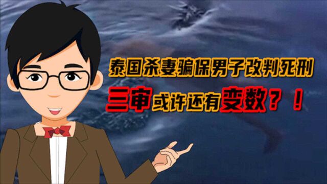 泰国杀妻骗保案被告由无期改判死刑目前已上诉 律师:死刑能否执行还不一定