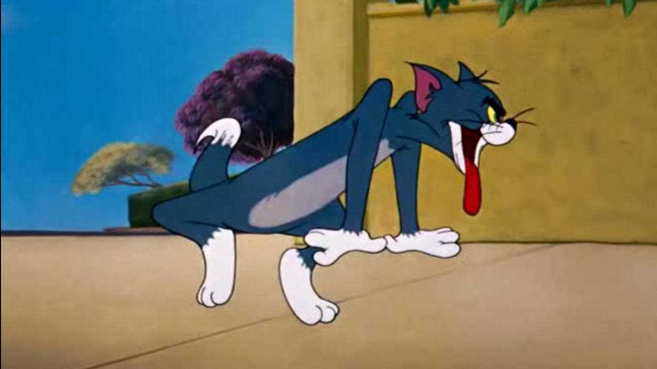 汤姆卡点秀老汤姆乌鸦坐飞机