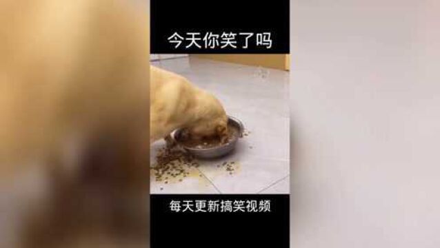 心情不美丽的,看完视频瞬间治愈