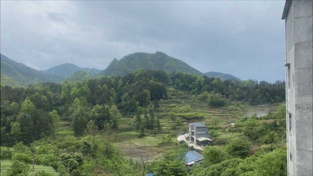 天珍地秘仅葬一棺,石圈椅形风水宝地,看风水大师王君植寻龙到底是什么地形