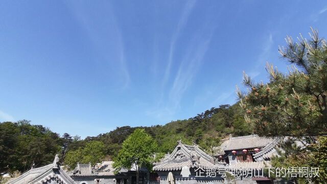 北京延寿寺盘龙松风景区,不收门票,内有延寿寺可参观,还能遇见蛇