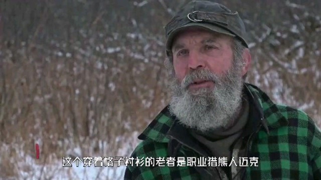 山地硬汉:职业猎熊人2000码外一枪放倒山羊,猎人用陷阱捕获海狸