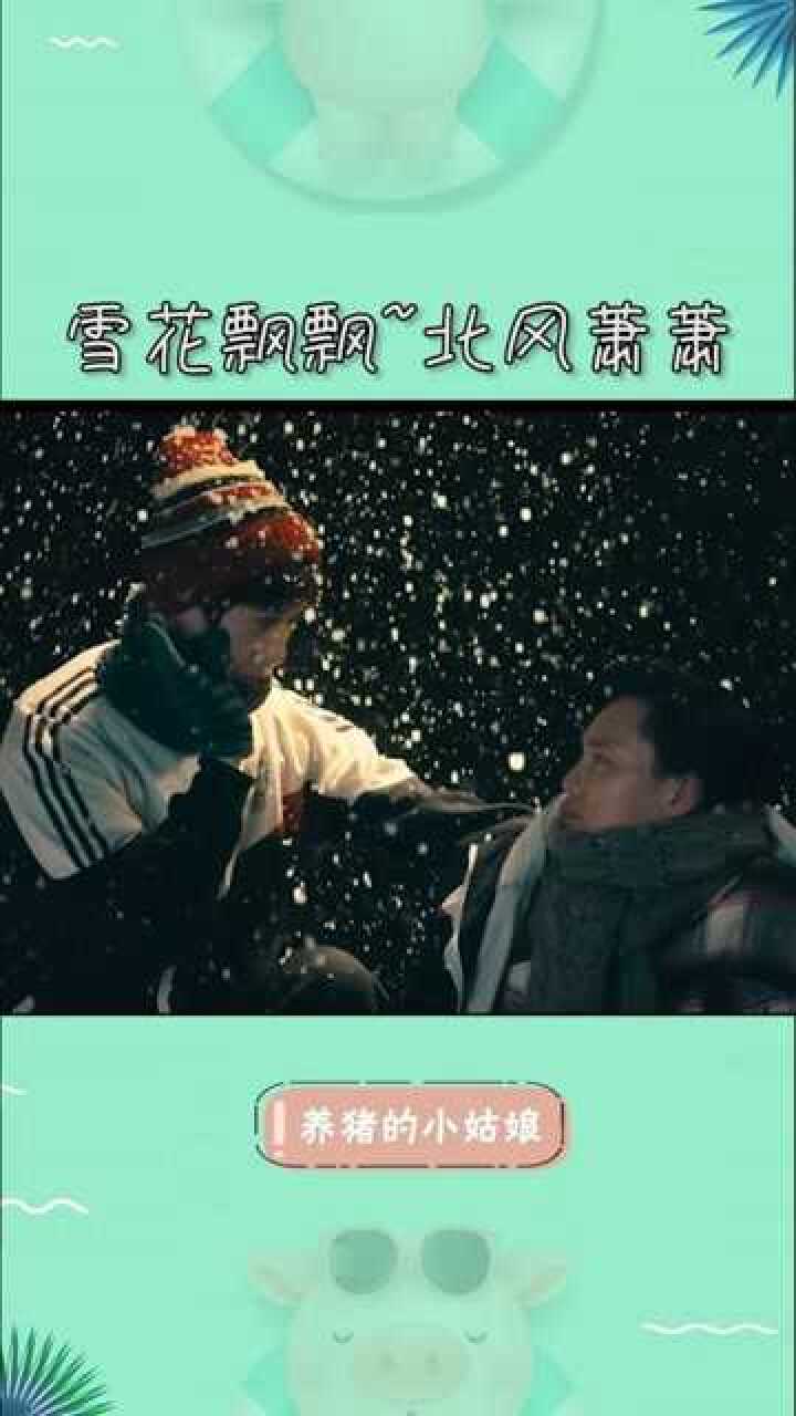 你别再打电话给我了我怕夏洛误会雪花飘飘北风萧萧