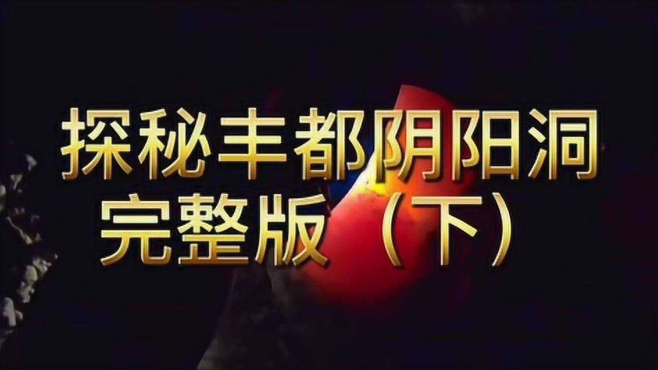 大海梦想猫