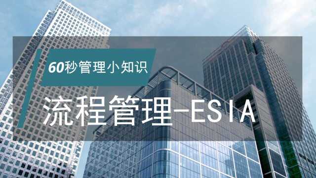 正略咨询:管理小知识ESIA流程管理法