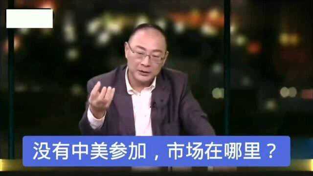 金灿荣谈TPP拉拢越南排除中国,把主持人乐的前仰后合!