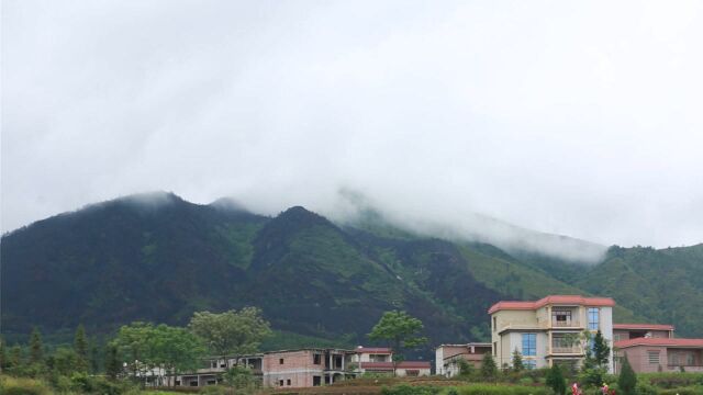 向上向善好青年张海平:非遗“小粽子”打开绿色致富路