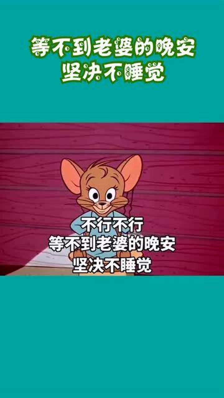 猪猪表情包:等不到老婆的晚安,坚决不睡觉