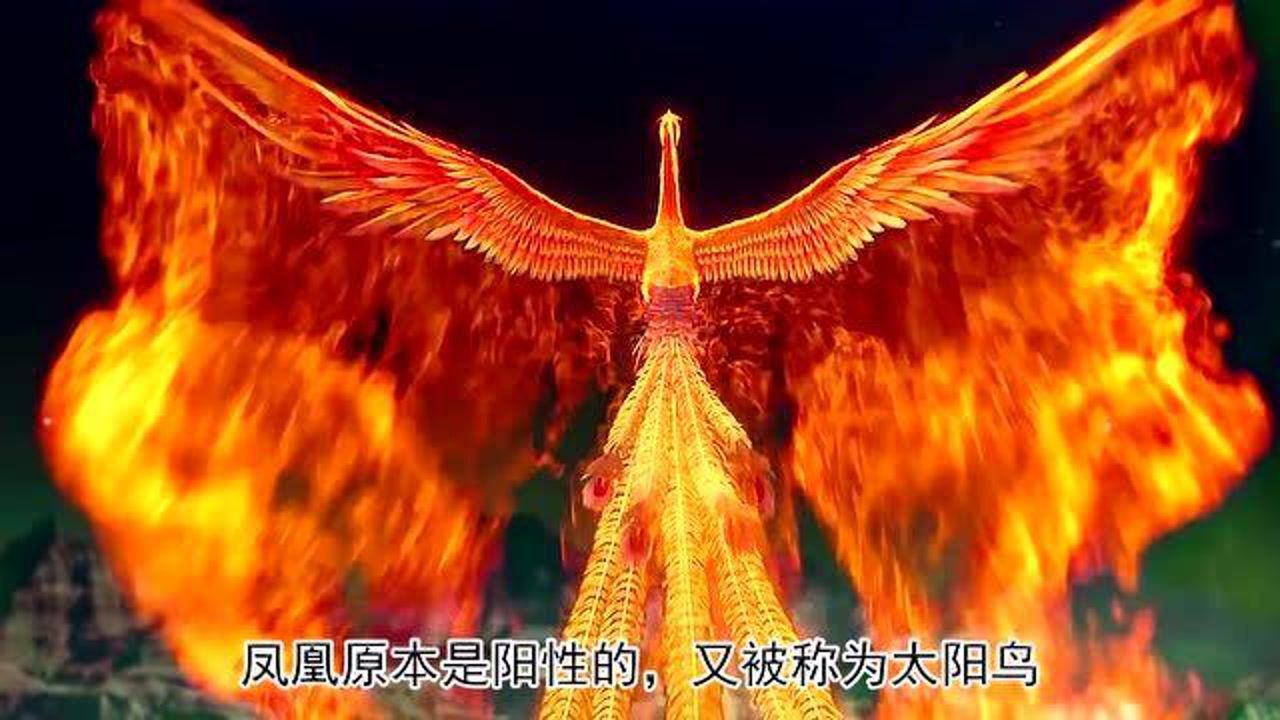 上古瑞兽凤凰与麒麟凤凰羽虫之长麒麟德性仁兽