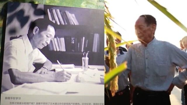 袁隆平院士在长沙逝世,享年91岁