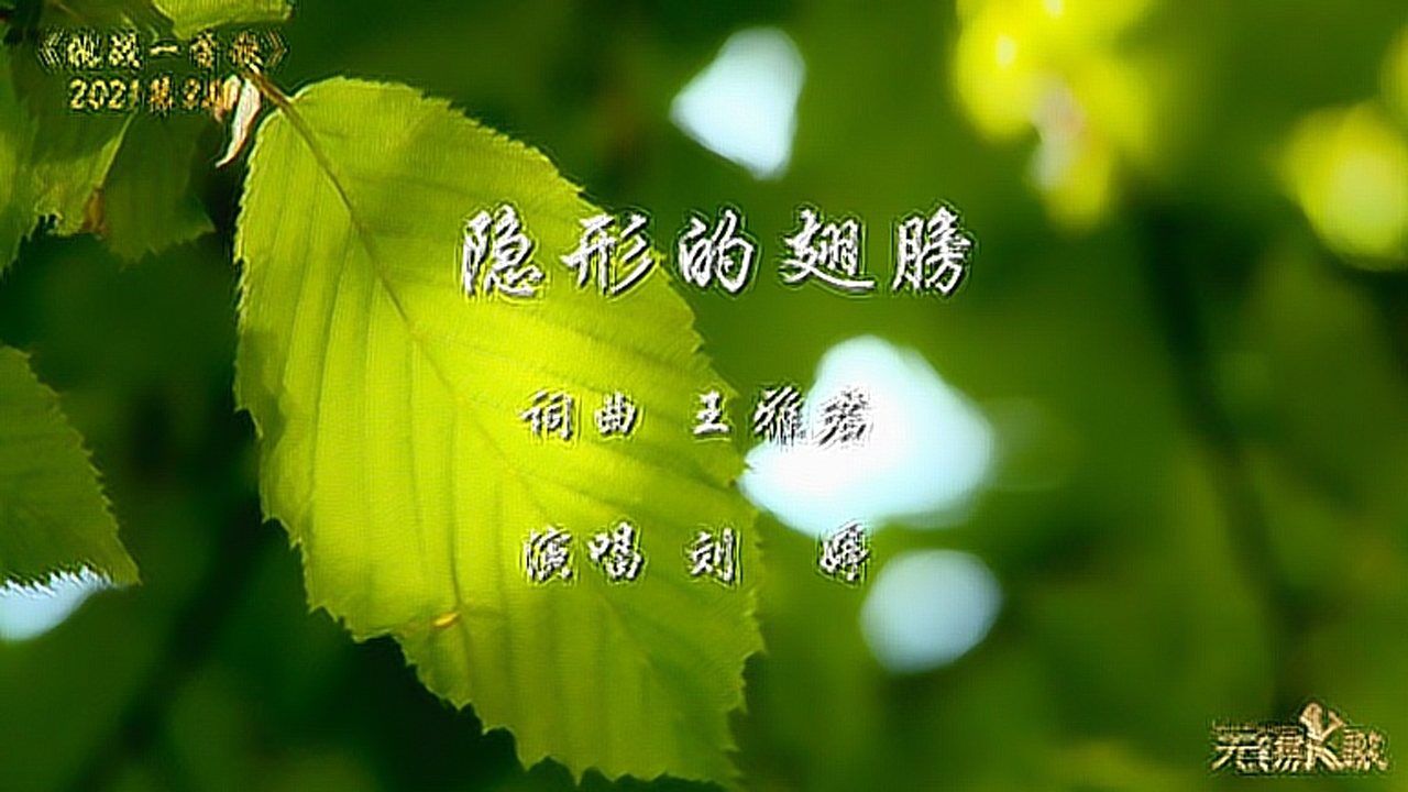 《隐形的翅膀》mv版