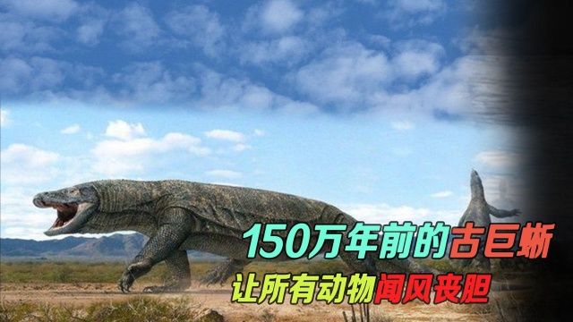 150万年前的古巨蜥,浑身带毒力量堪比核弹,它到底有多可怕?