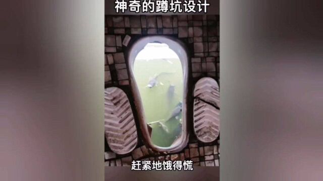 这个蹲坑设计确实靠谱