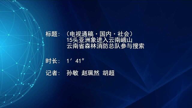 (电视通稿ⷥ›𝥆…ⷧ侤𜚩15头亚洲象进入云南峨山 云南省森林消防总队参与搜索