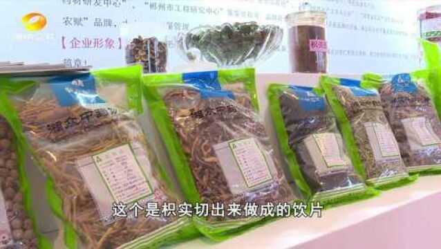 第七届“湘九味”中药材论坛:“传承神农文化ⷦ‰“造安仁枳壳”