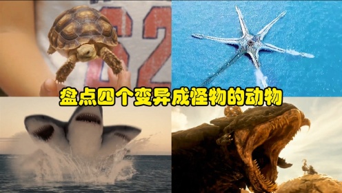 盘点四个变异成怪物的动物，第一个是挑战格斯拉的变异怪龟，最后一个是巨大的变异海星！