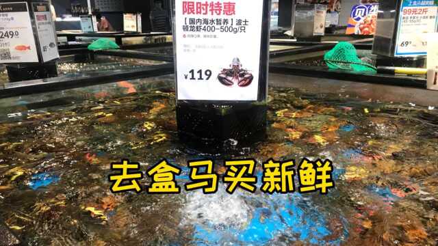 高考季去盒马买新鲜,老阿姨生鲜首选店好在哪里?