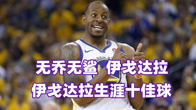 无乔无鲨,伊戈达拉!伊戈达拉NBA生涯十佳球,隔扣姚明秀逆天拉杆