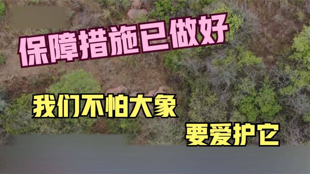 保障措施已做好 我们不怕大象 要爱护它