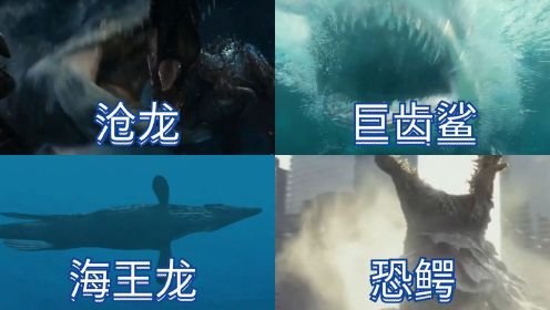 历代海洋霸主大集结，你觉得哪个霸主最厉害，巨齿鲨超帅！