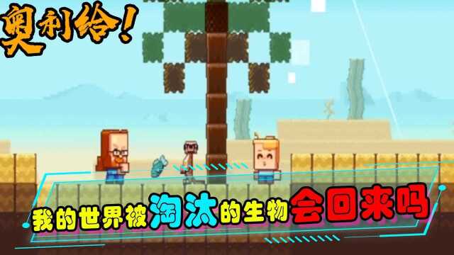 他们会回来吗?曾经在我的世界里那些被淘汰的生物们