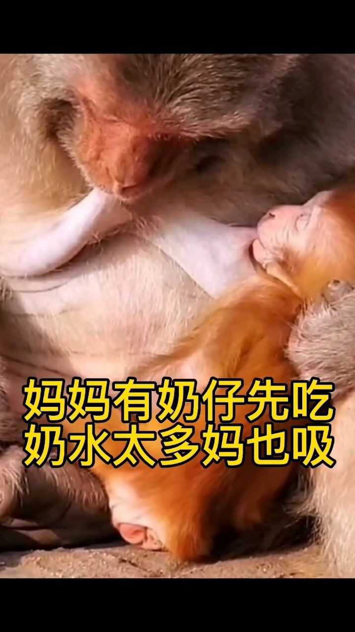 妈妈孩子共同吃奶_腾讯视频