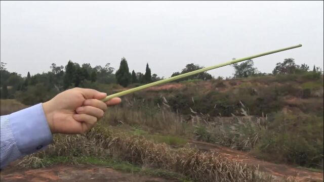 亿万富翁贪慕虚名,请北京易经大师寻龙,没有想到花费巨资却点花假凶地