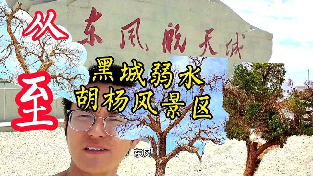 值“神十二”发射之际,从东风航天城酒泉卫星发射中心到黑城弱水