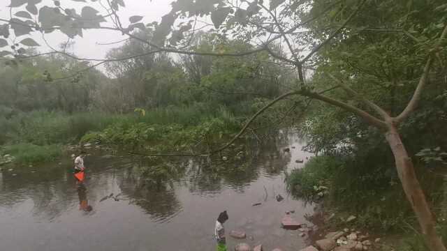 鹤壁玩水乘凉遛娃好地方,淇河国家湿地公园,免费3A景点