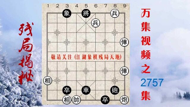 2757飞象无情手