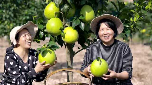 至美山川,大美精神,建德发布全新城市形象宣传片