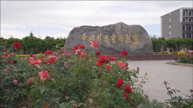 新中国外交自成体系 西方国关理论已不适用