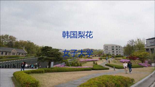 韩国梨花女子大学荣誉短片