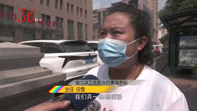 男子身上突然出现20多个小包 奇痒无比 医生:这是跳蚤