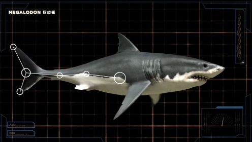 巨齿鲨与噬抹香鲸谁更厉害？史前水下巨兽谁更恐怖？