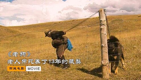 老人宁肯吊死养了13年的藏獒，也不愿意2万卖掉，极度催泪国产片