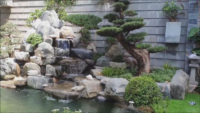 院子里有块空地,自己建的假山鱼池,园林化“高山流水”意境美